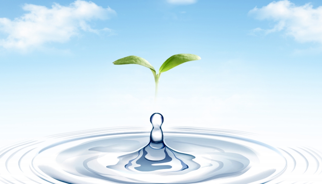 152117851.jpg 152117851.jpg